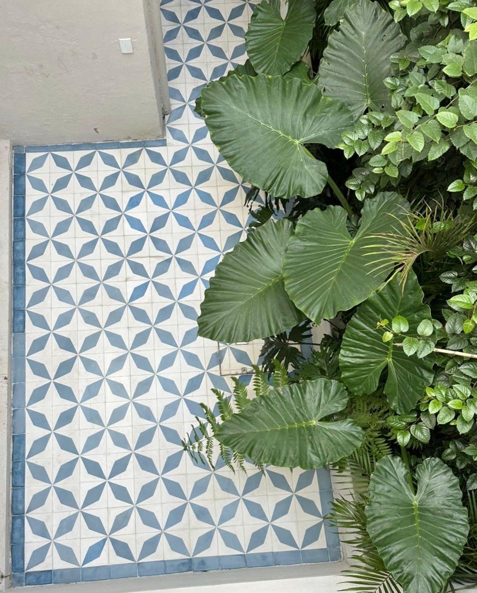 Mexican tile mosaic with tropical plants at Casa Caravana